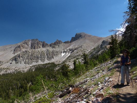 Trail to Wheeler Peak